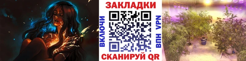 Где продают наркотики Таганрог Псилоцибиновые грибы  МЕФ  А ПВП  Амфетамин  ГАШИШ  ОМГ ОМГ онион  COCAIN  Конопля 