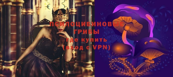 apvp Медвежьегорск